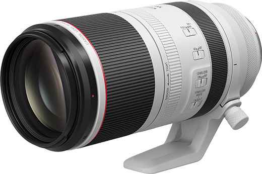 RF100-500mm F4.5-7.1 L IS USM